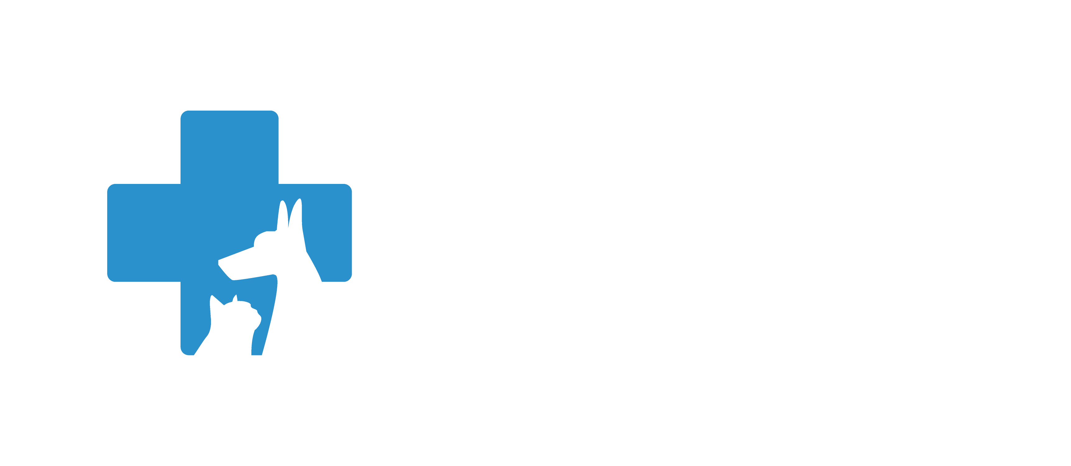 AnyVet Logo (White)