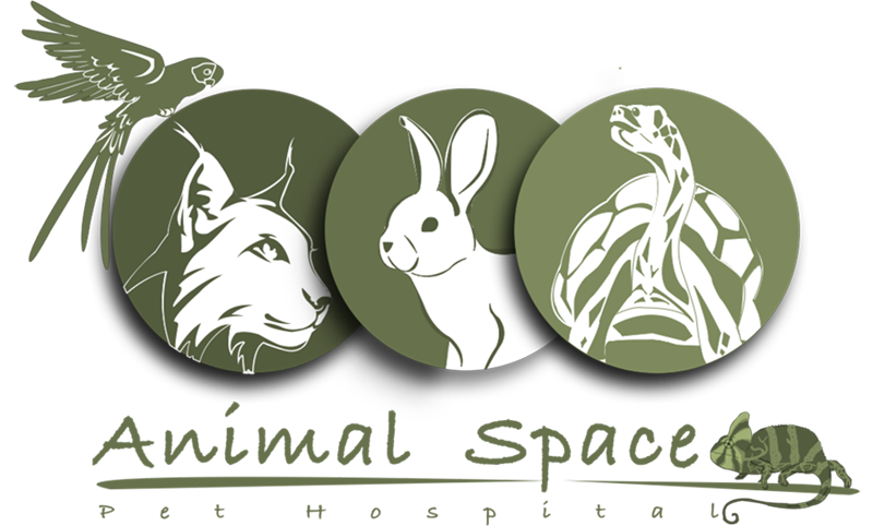 Animal Space Hospital