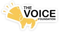 The Voice Foundation