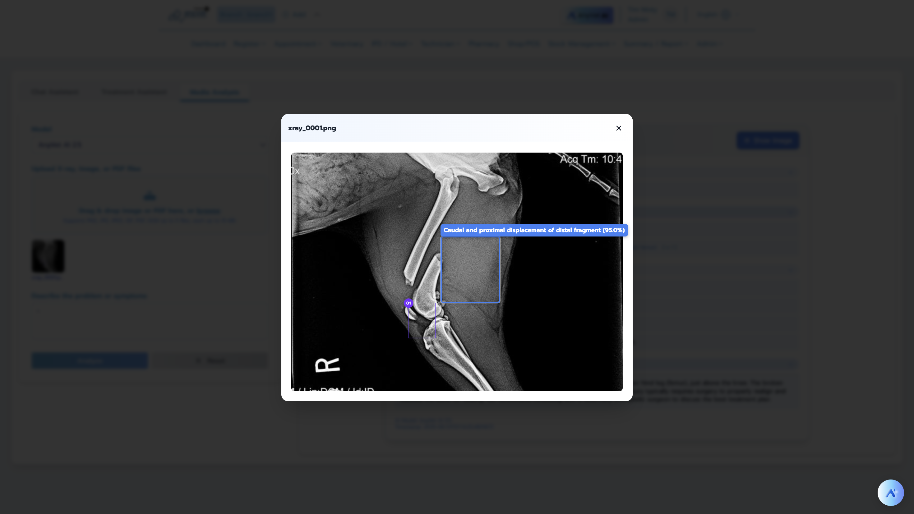 Smart Product Media Analysis Preview
