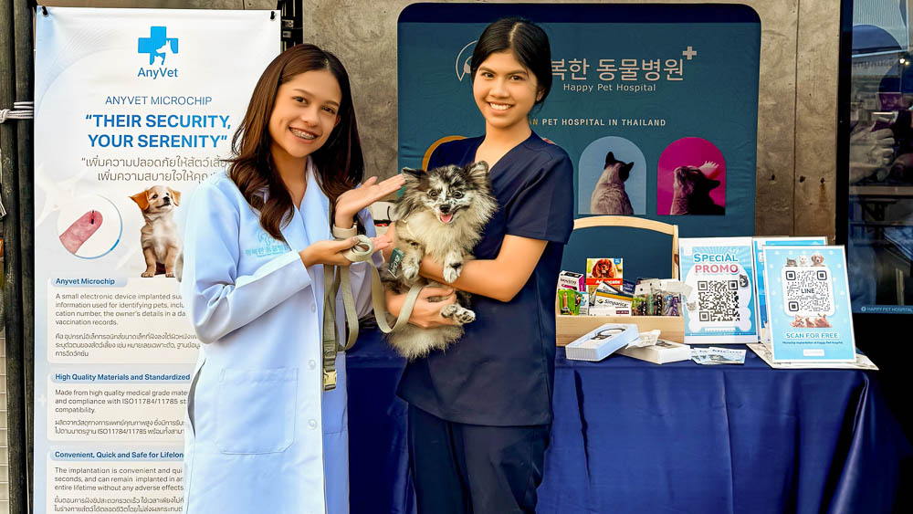 AnyVet Team Photo 02